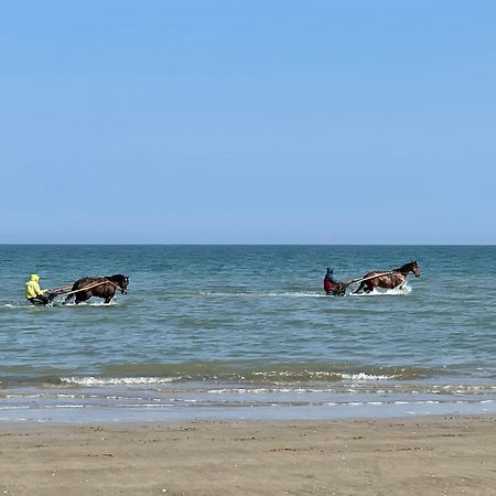 Villa Les Myrtilles Cabourg Eksteriør billede