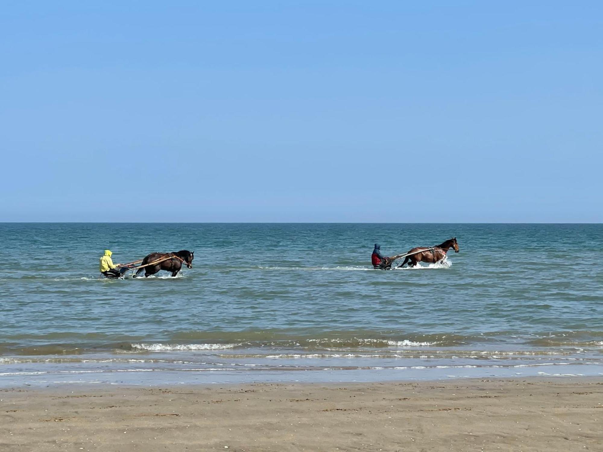 Villa Les Myrtilles Cabourg Eksteriør billede